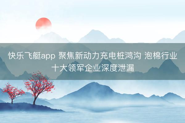 快乐飞艇app 聚焦新动力充电桩鸿沟 泡棉行业十大领军企业深度泄漏