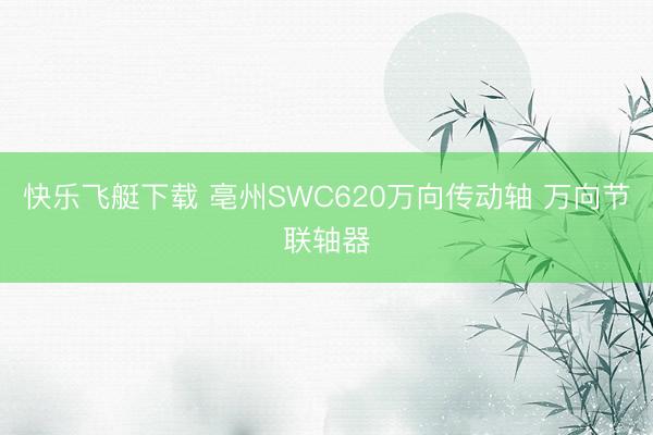 快乐飞艇下载 亳州SWC620万向传动轴 万向节联轴器