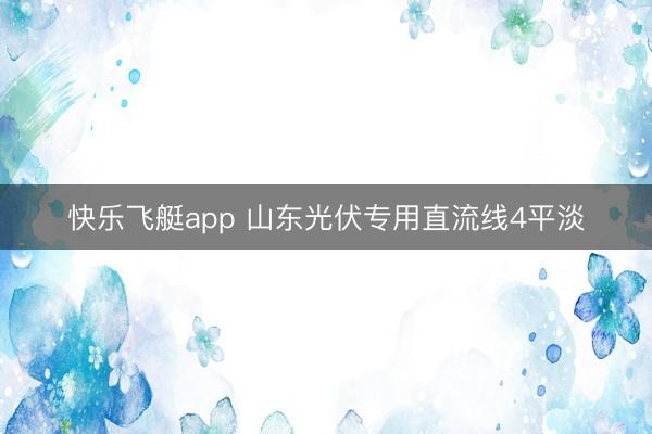 快乐飞艇app 山东光伏专用直流线4平淡