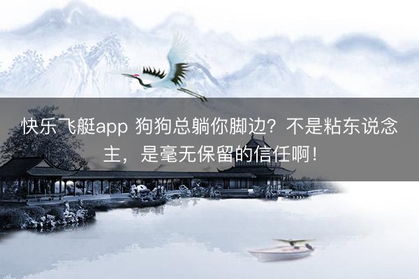 快乐飞艇app 狗狗总躺你脚边？不是粘东说念主，是毫无保留的信任啊！