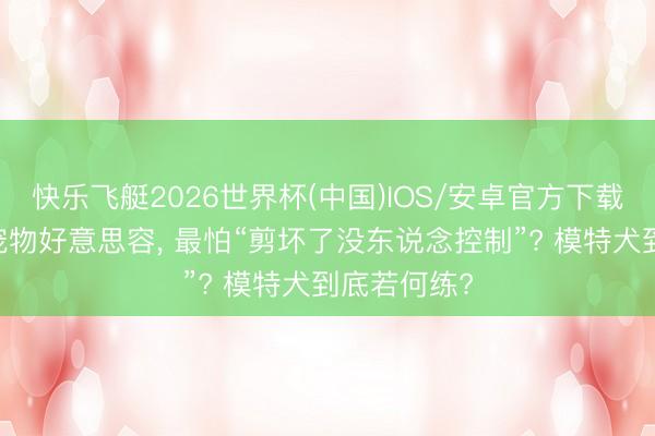 快乐飞艇2026世界杯(中国)IOS/安卓官方下载 零基础学宠物好意思容， 最怕“剪坏了没东说念控制”? 模特犬到底若何练?